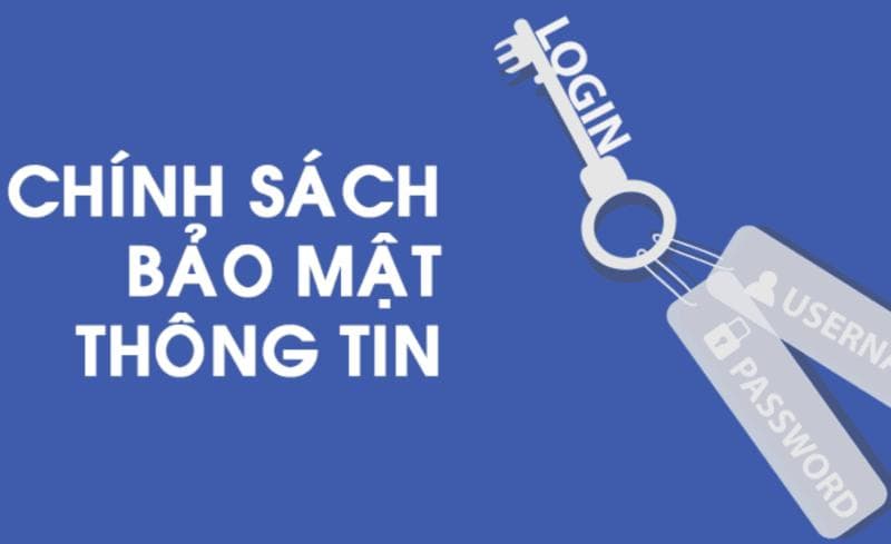 Quyền phát ngôn, bình luận