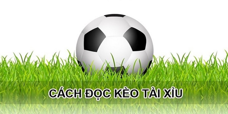 Bạn đã biết cách đọc kèo tài xỉu là gì chưa?