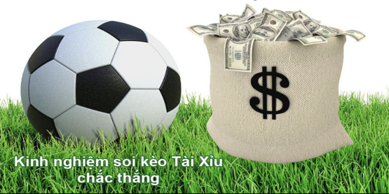 QH99 Chia sẻ kinh nghiệm đặt cược kèo tài xỉu